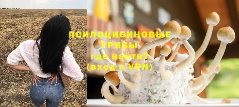 Галлюциногенные грибы MAGIC MUSHROOMS  маркетплейс какой сайт  Салават  даркнет сайт 